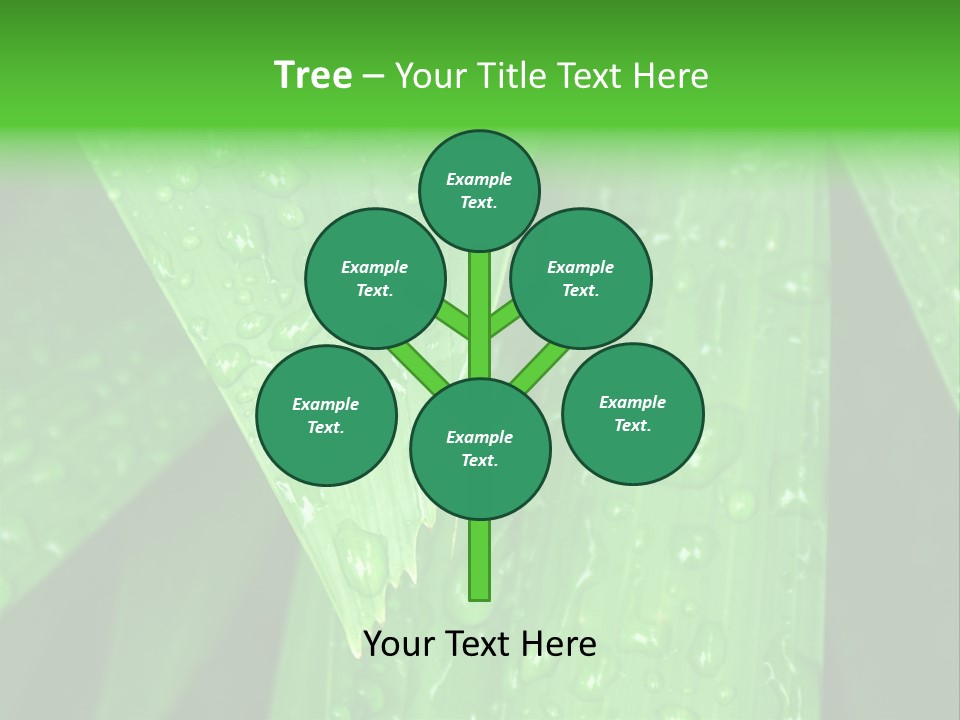 Flowers Decoration Group PowerPoint Template