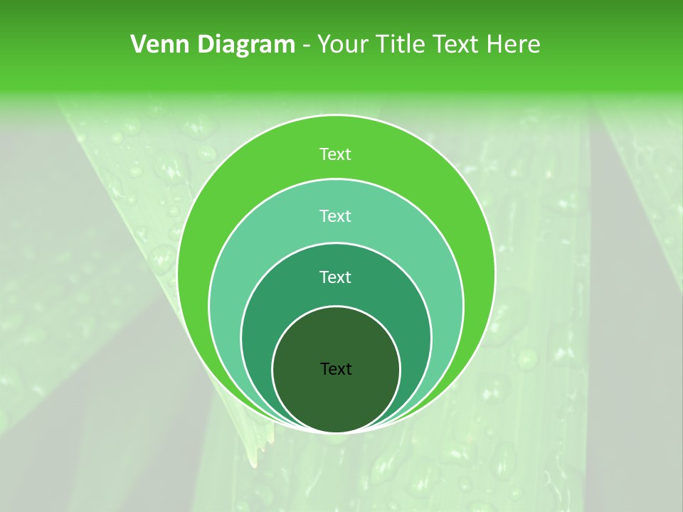 Flowers Decoration Group PowerPoint Template