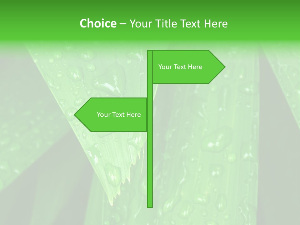 Flowers Decoration Group PowerPoint Template