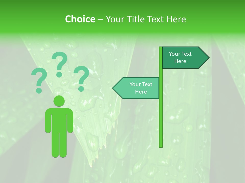 Flowers Decoration Group PowerPoint Template