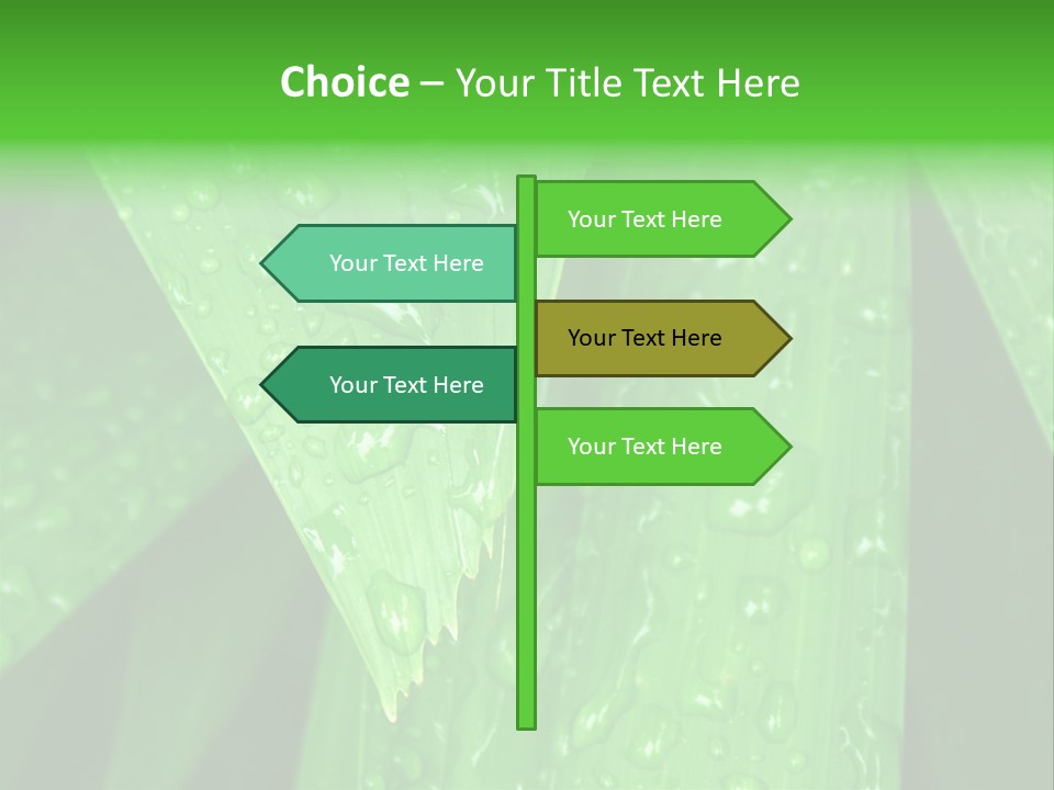Flowers Decoration Group PowerPoint Template
