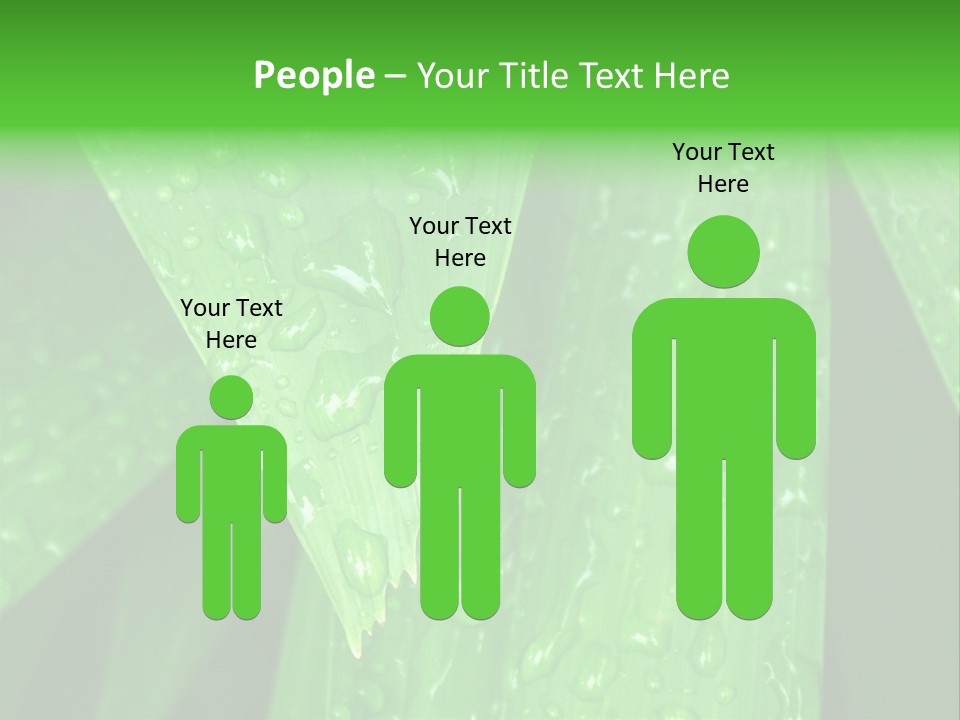 Flowers Decoration Group PowerPoint Template