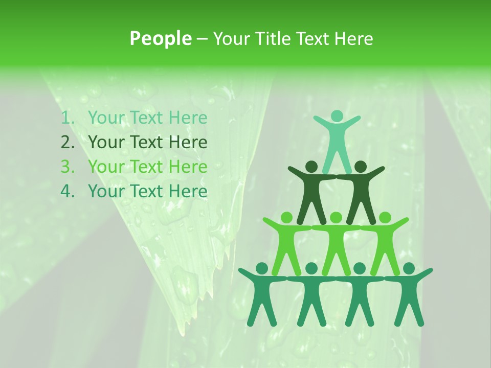 Flowers Decoration Group PowerPoint Template