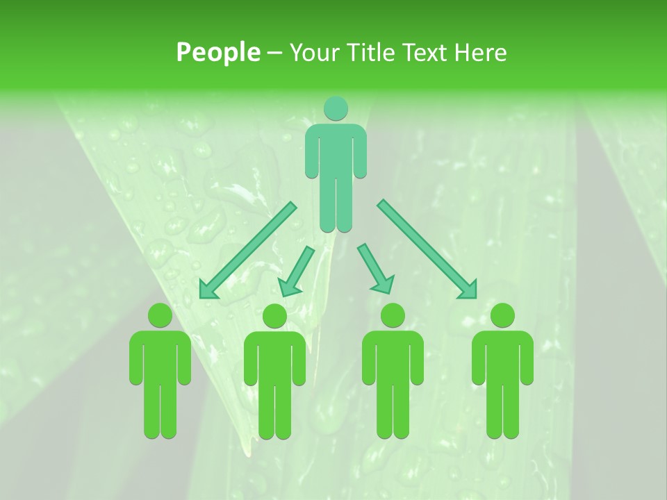 Flowers Decoration Group PowerPoint Template