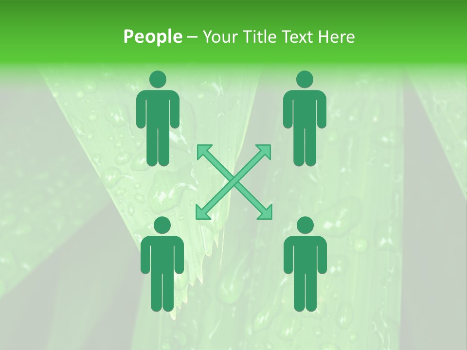 Flowers Decoration Group PowerPoint Template