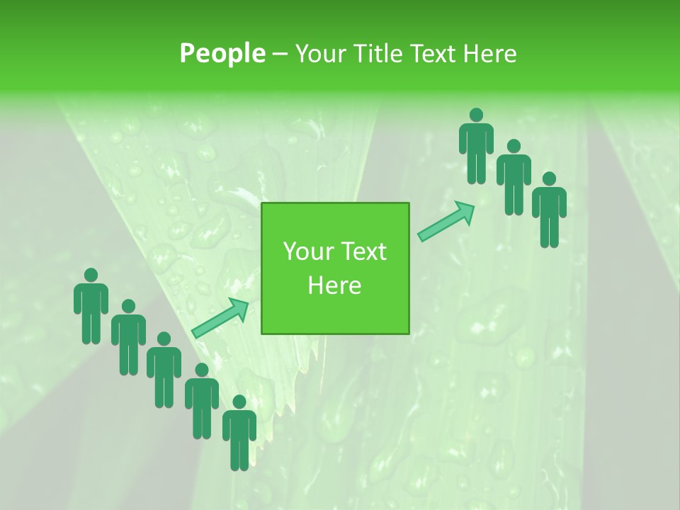 Flowers Decoration Group PowerPoint Template