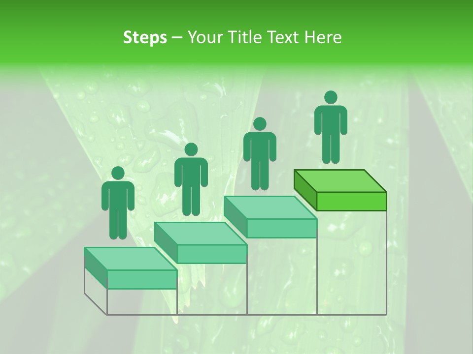 Flowers Decoration Group PowerPoint Template