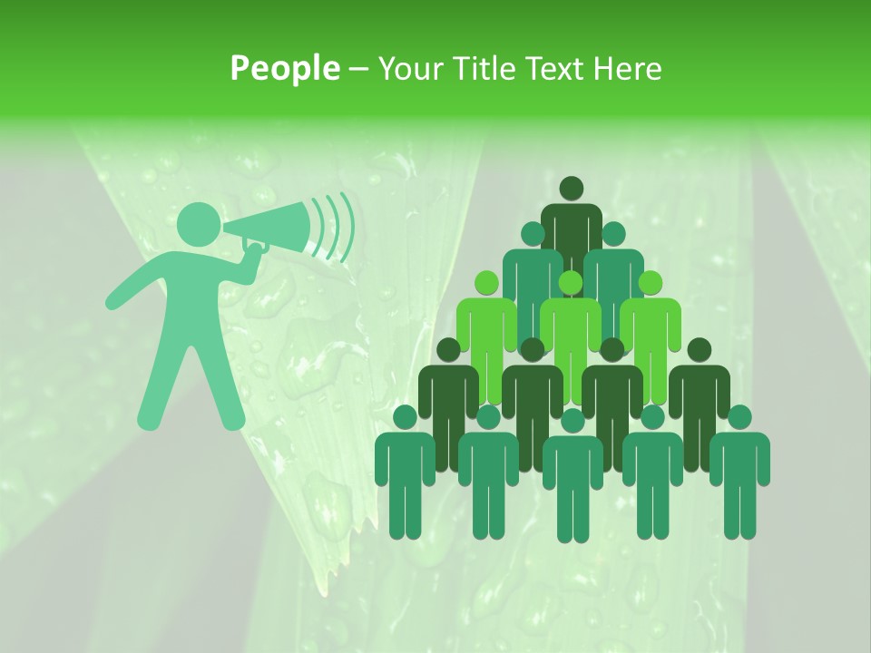 Flowers Decoration Group PowerPoint Template