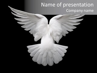 Bird Holy Hope PowerPoint Template