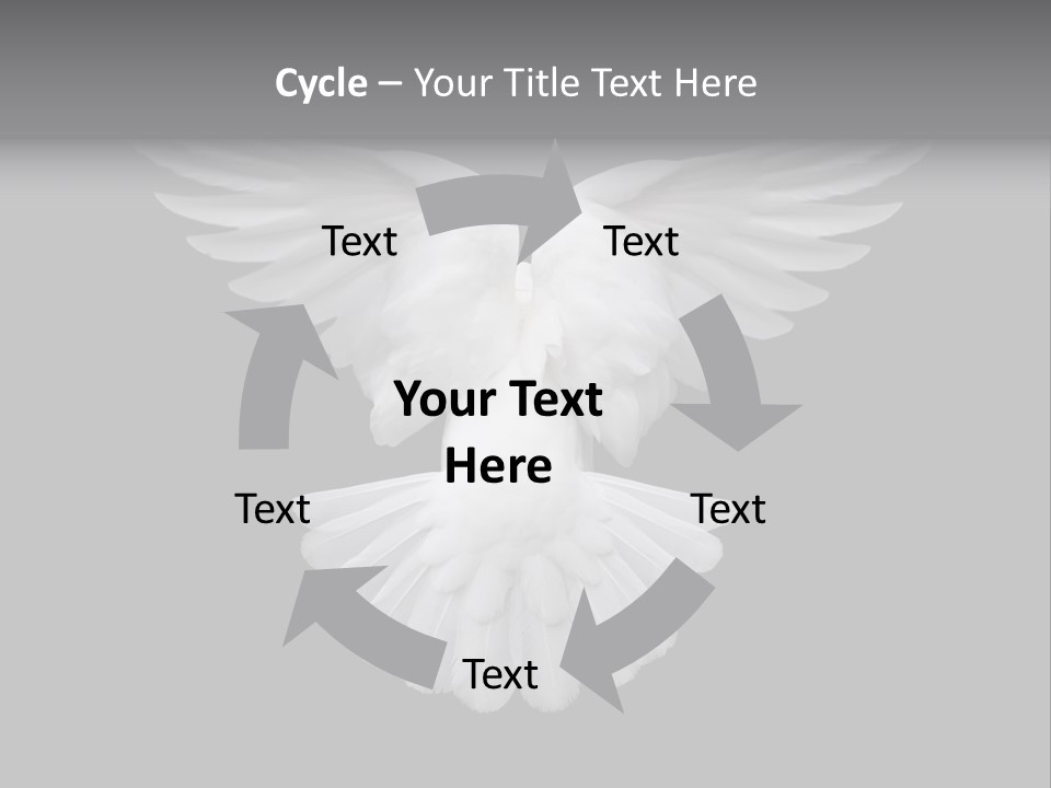 Bird Holy Hope PowerPoint Template