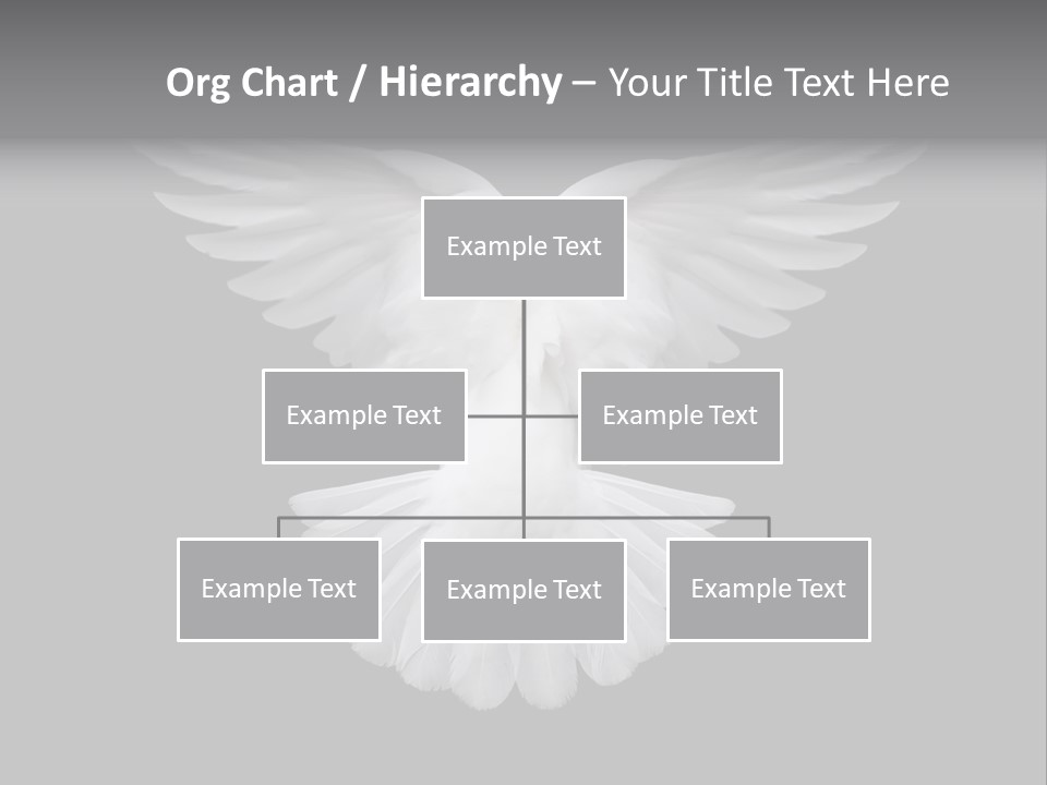 Bird Holy Hope PowerPoint Template