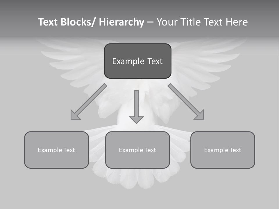Bird Holy Hope PowerPoint Template
