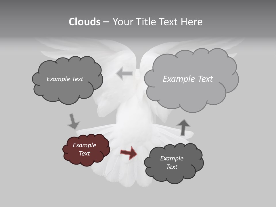 Bird Holy Hope PowerPoint Template