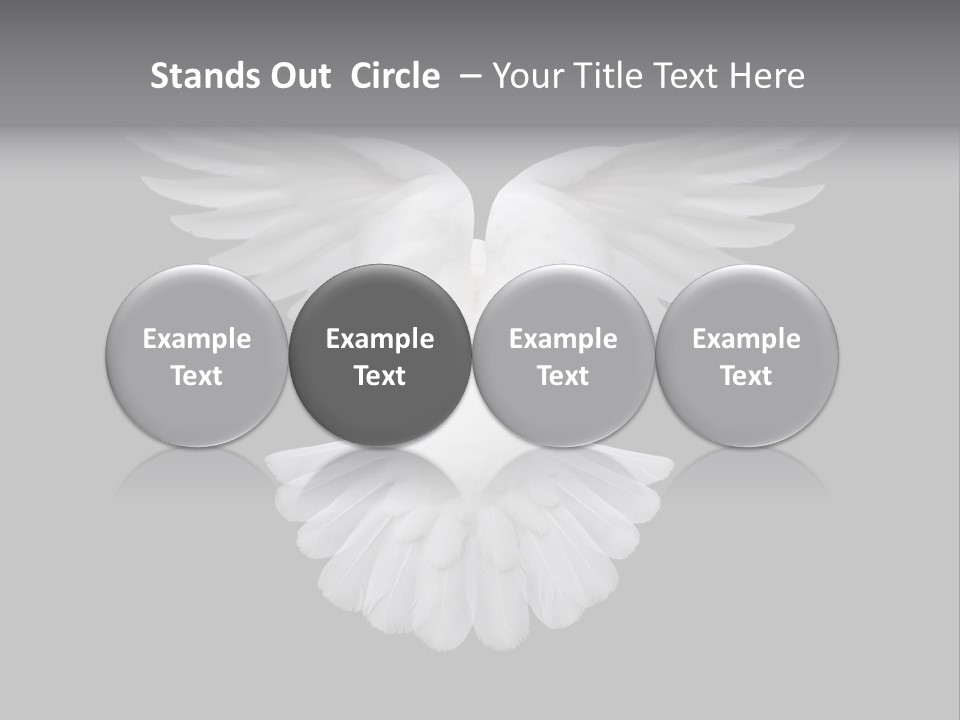 Bird Holy Hope PowerPoint Template