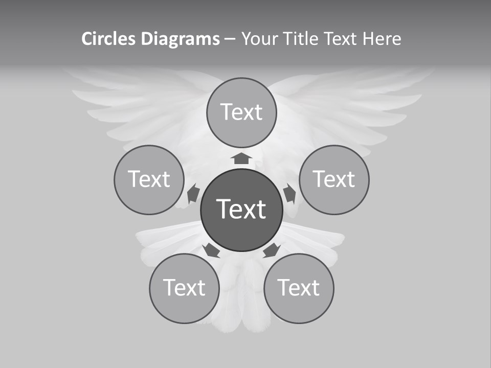 Bird Holy Hope PowerPoint Template