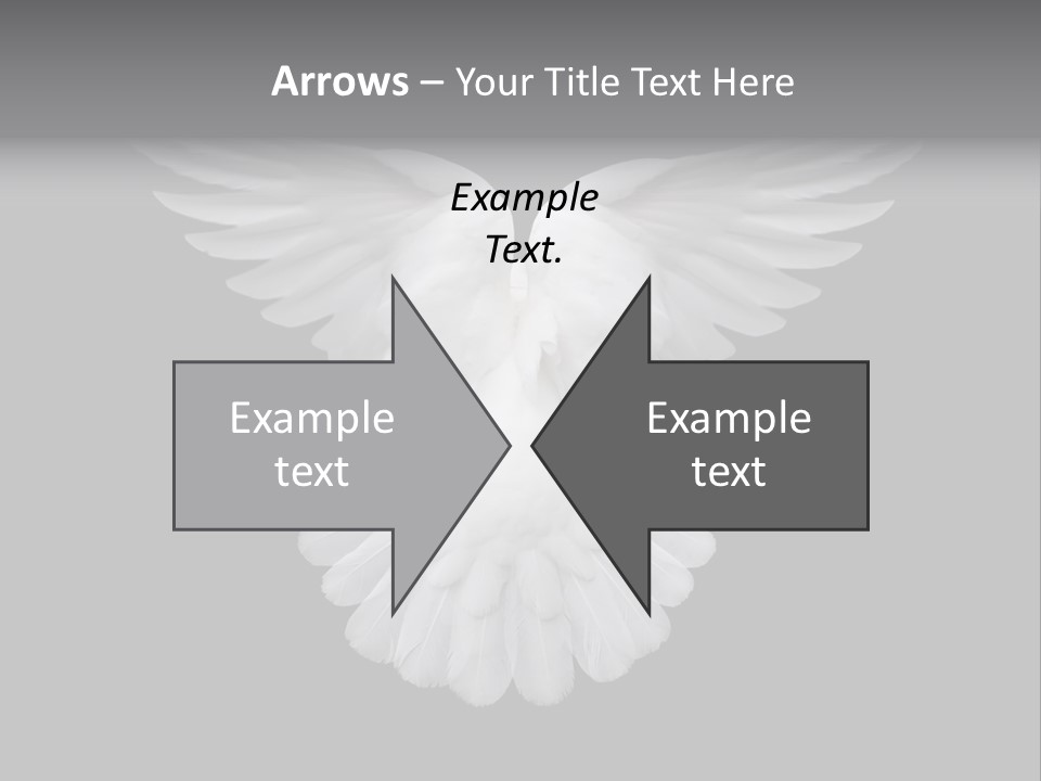 Bird Holy Hope PowerPoint Template