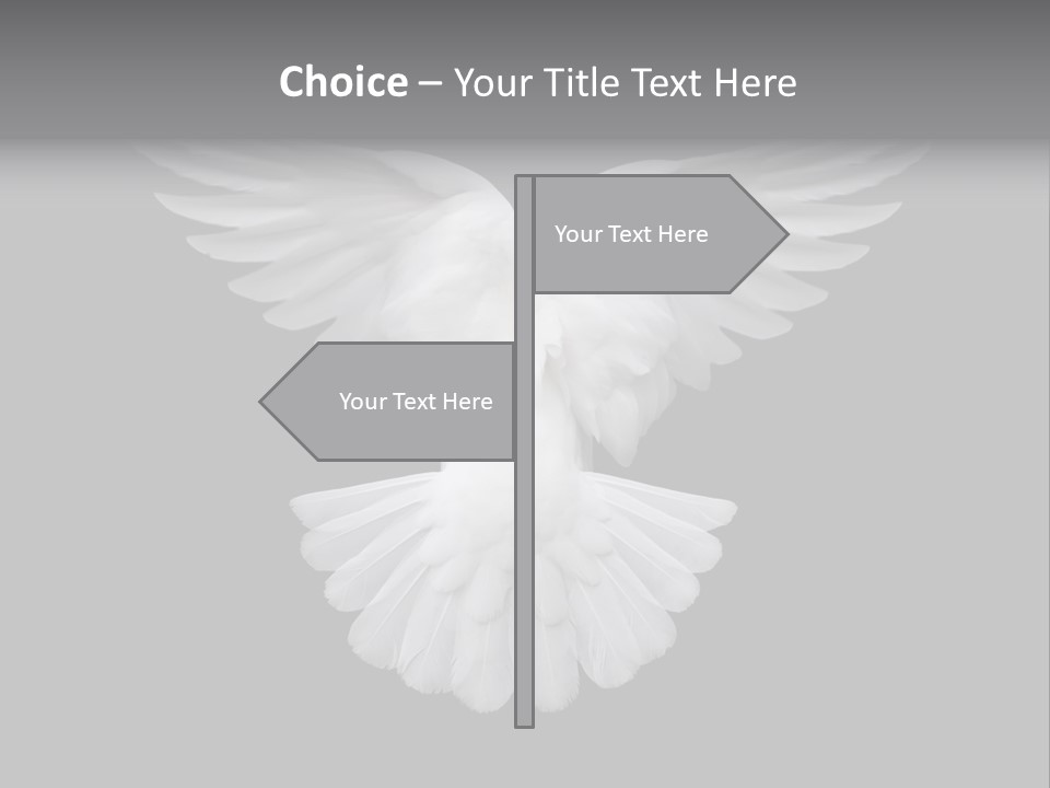 Bird Holy Hope PowerPoint Template