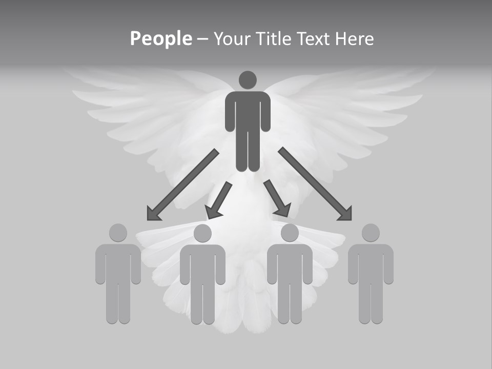 Bird Holy Hope PowerPoint Template