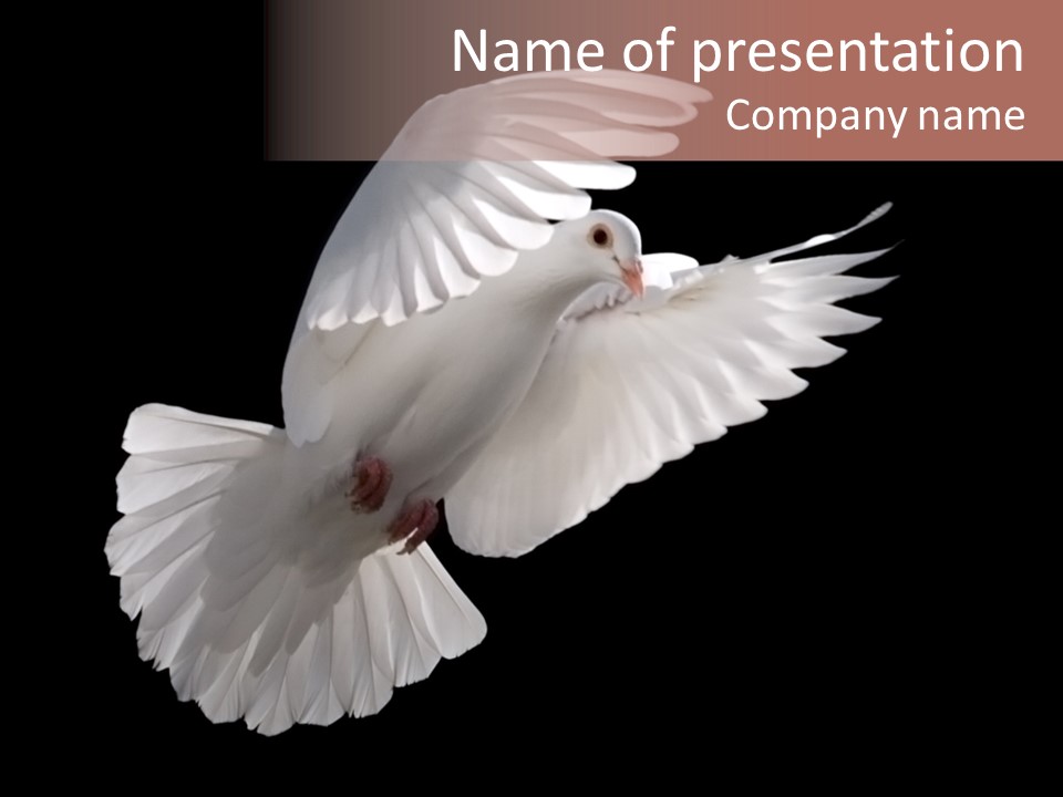 Flying Hope Holy PowerPoint Template