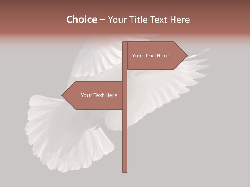 Flying Hope Holy PowerPoint Template