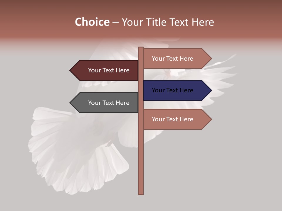 Flying Hope Holy PowerPoint Template