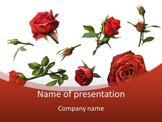 Flowers Decoration Group PowerPoint Template