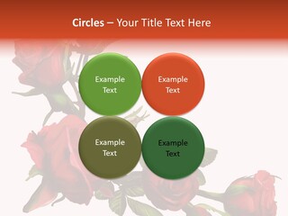 Summer Bunches Plant PowerPoint Template