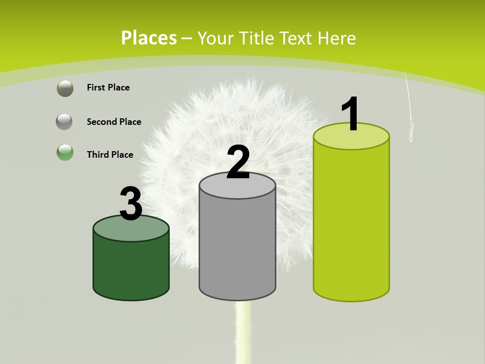 Flug Pusteblume Allergie PowerPoint Template