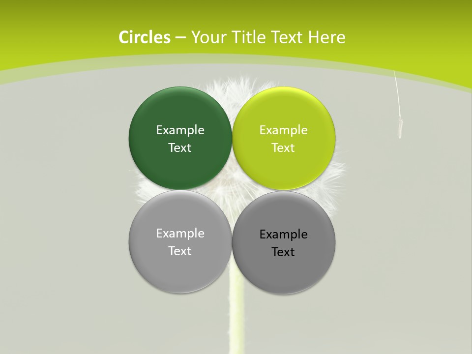 Flug Pusteblume Allergie PowerPoint Template