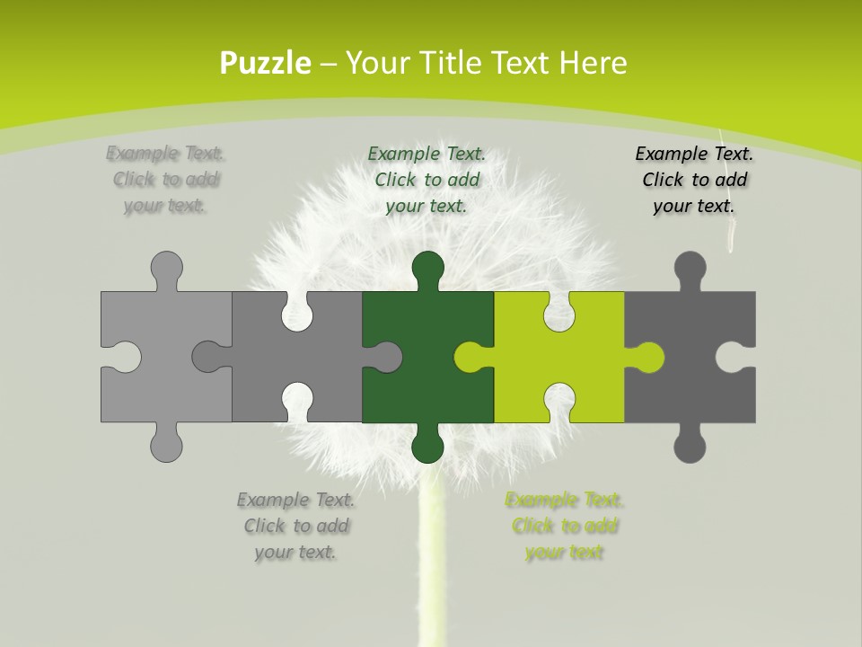 Flug Pusteblume Allergie PowerPoint Template