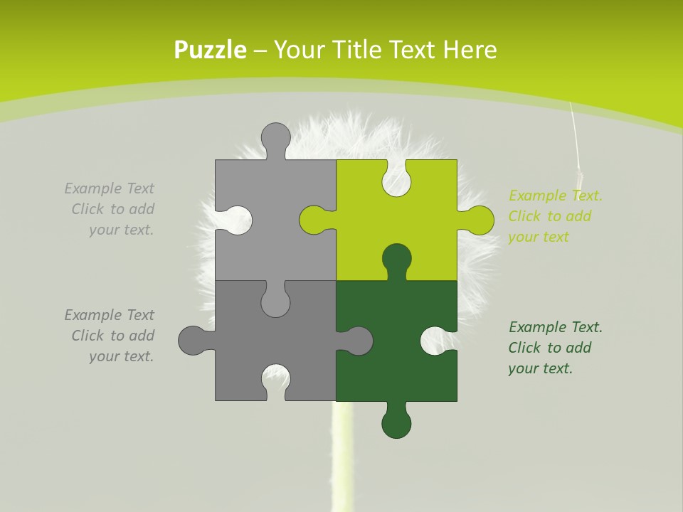 Flug Pusteblume Allergie PowerPoint Template