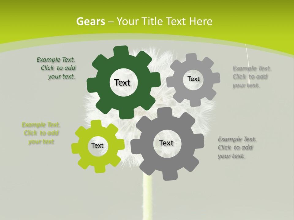 Flug Pusteblume Allergie PowerPoint Template