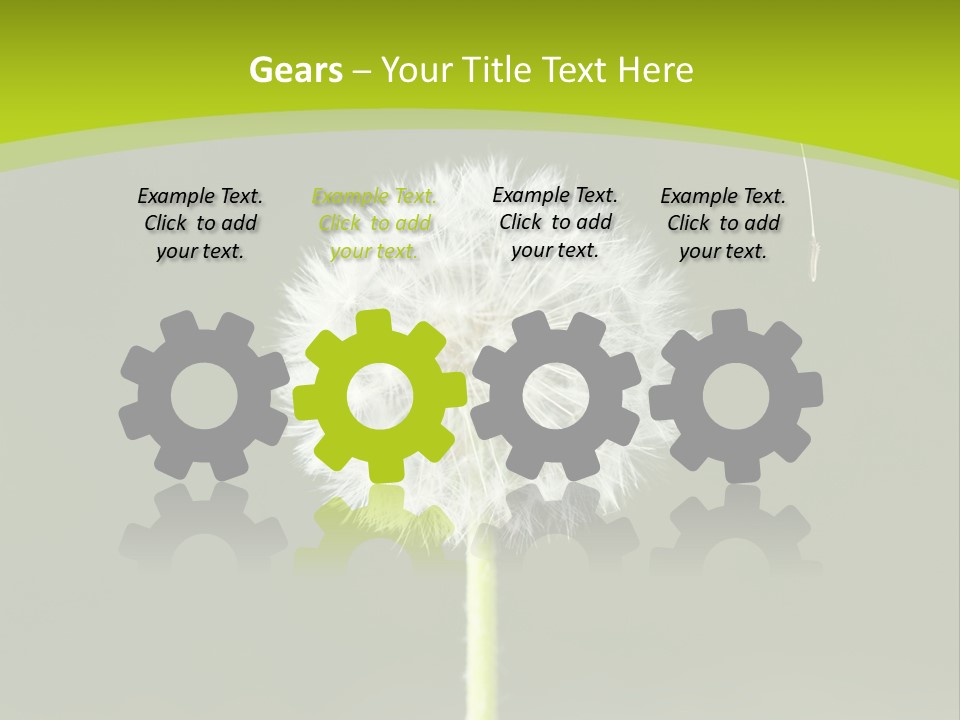 Flug Pusteblume Allergie PowerPoint Template