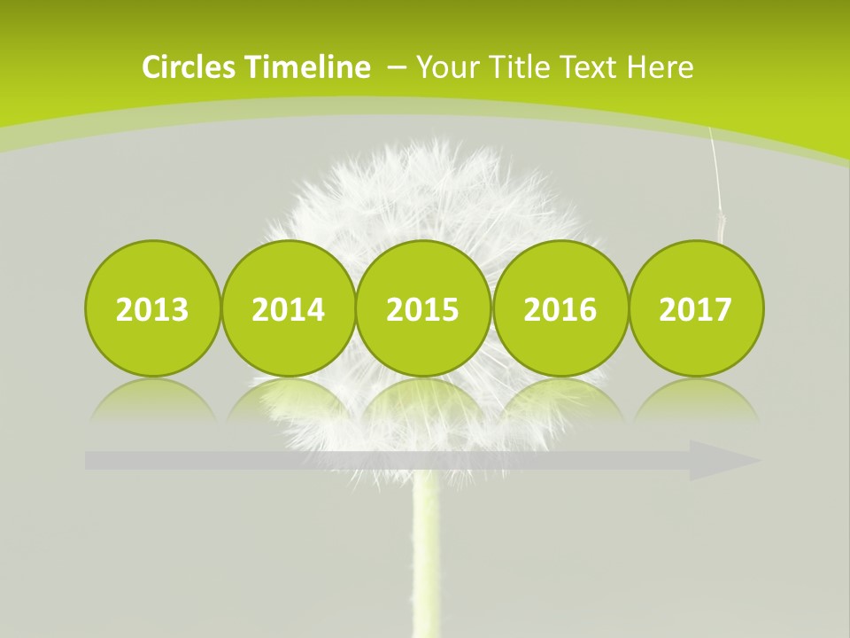 Flug Pusteblume Allergie PowerPoint Template