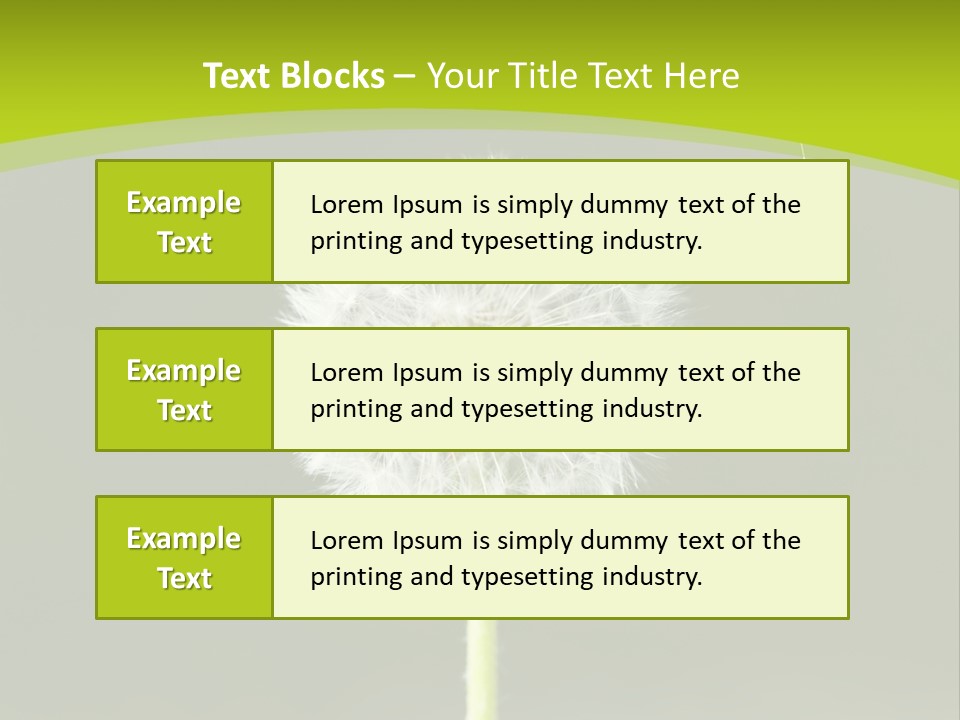 Flug Pusteblume Allergie PowerPoint Template