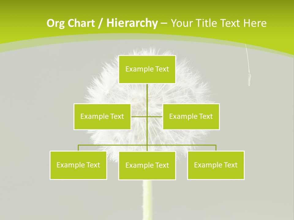 Flug Pusteblume Allergie PowerPoint Template