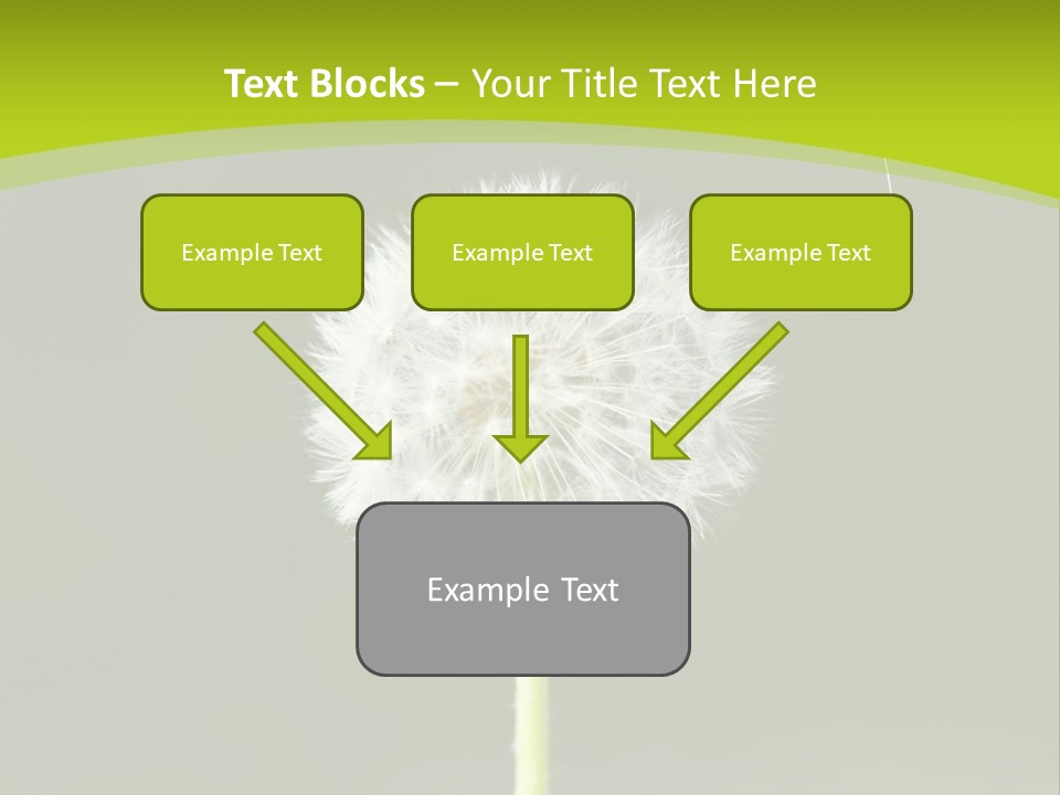 Flug Pusteblume Allergie PowerPoint Template