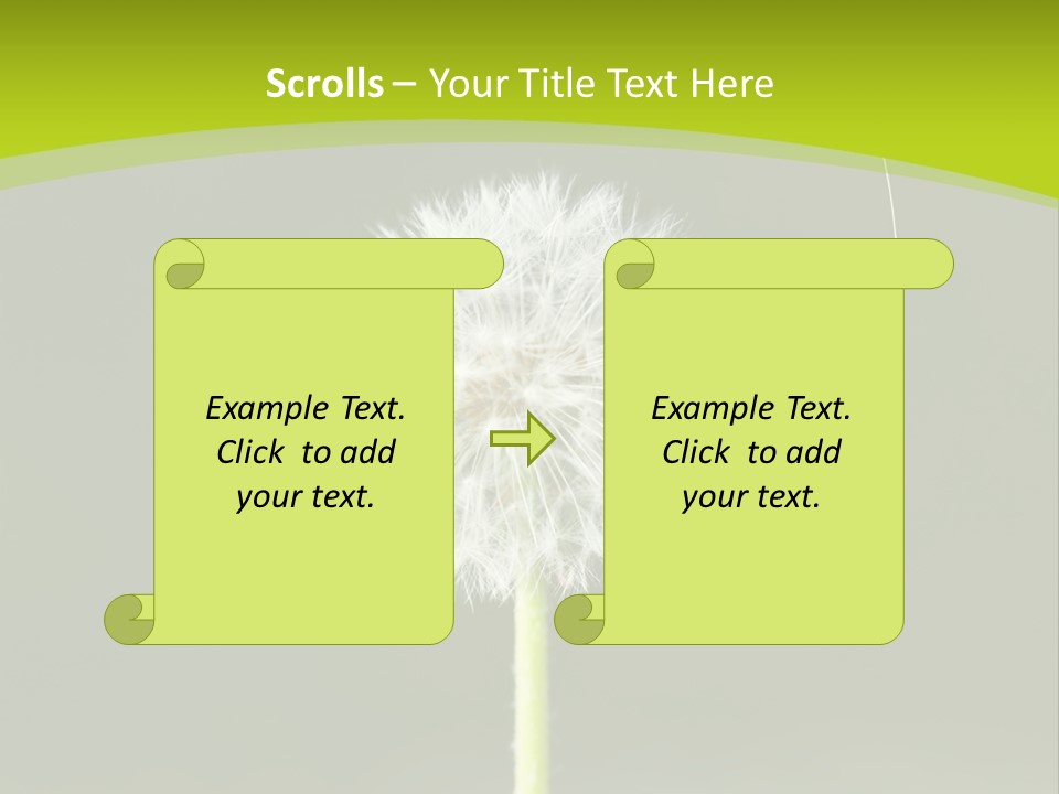 Flug Pusteblume Allergie PowerPoint Template