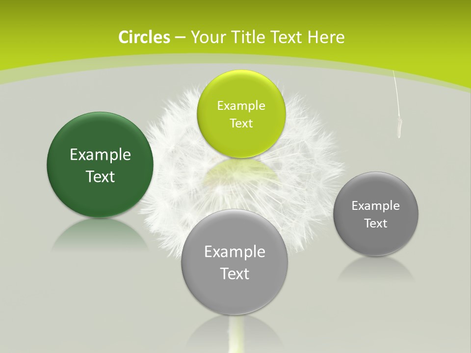 Flug Pusteblume Allergie PowerPoint Template