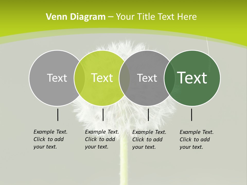 Flug Pusteblume Allergie PowerPoint Template