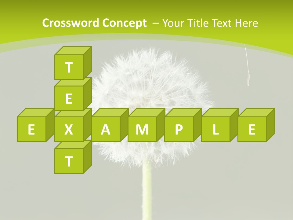 Flug Pusteblume Allergie PowerPoint Template