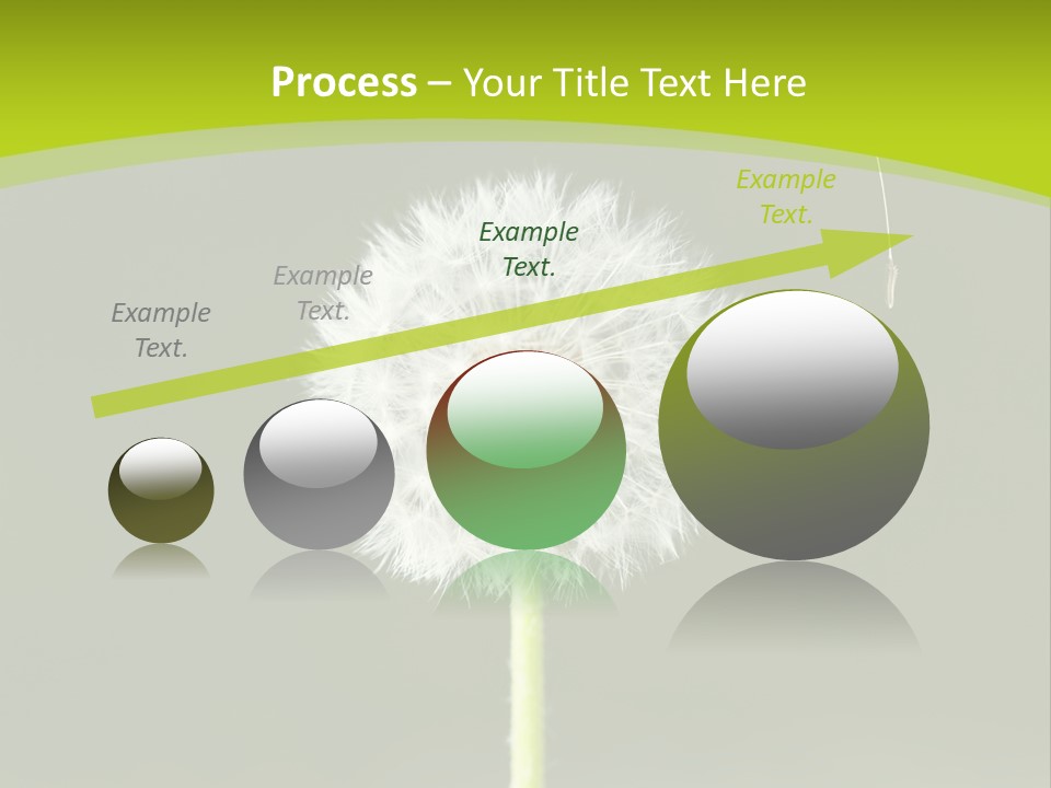 Flug Pusteblume Allergie PowerPoint Template