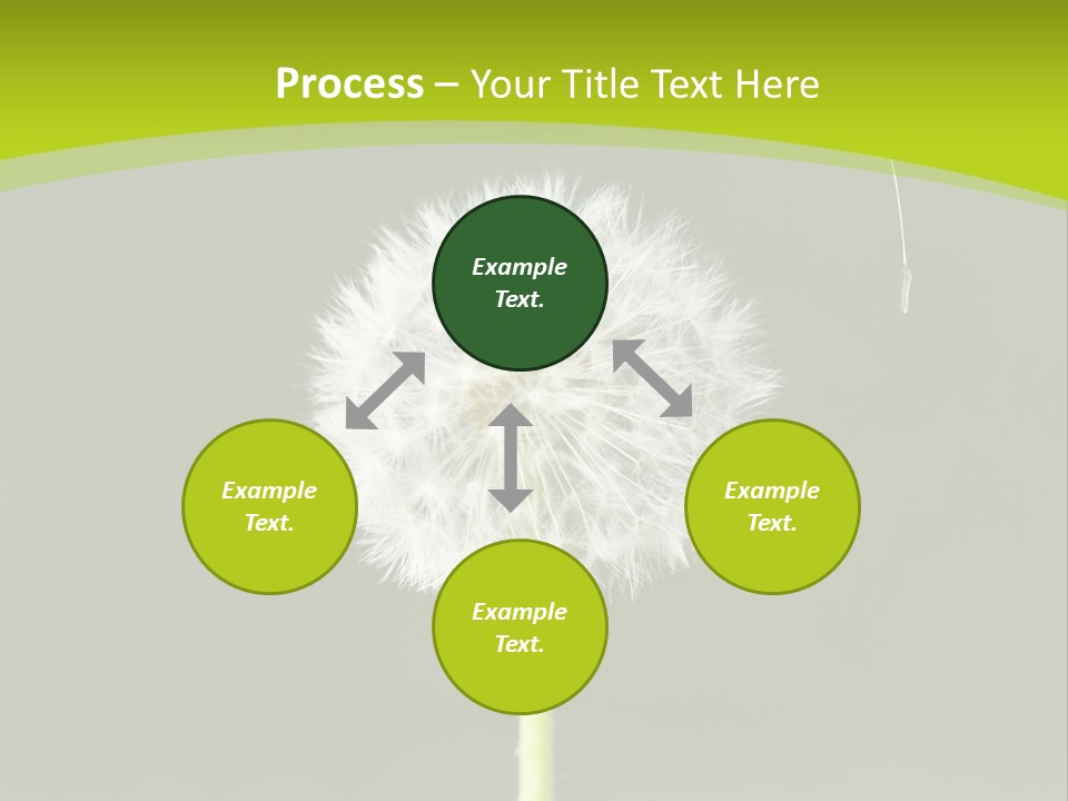 Flug Pusteblume Allergie PowerPoint Template