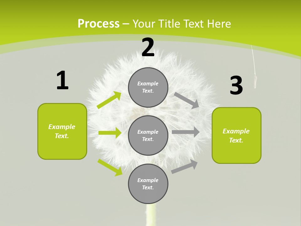 Flug Pusteblume Allergie PowerPoint Template