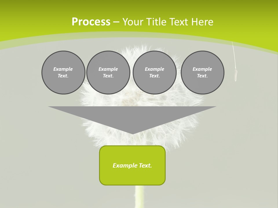 Flug Pusteblume Allergie PowerPoint Template
