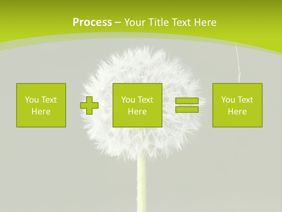 Flug Pusteblume Allergie PowerPoint Template