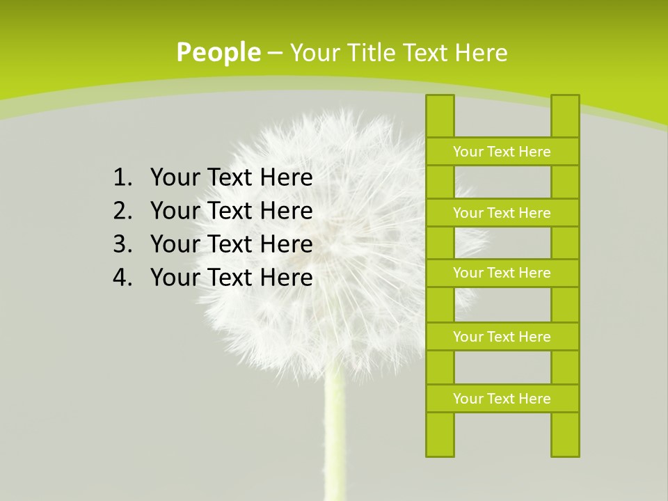 Flug Pusteblume Allergie PowerPoint Template