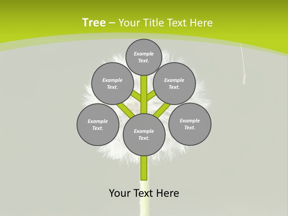 Flug Pusteblume Allergie PowerPoint Template