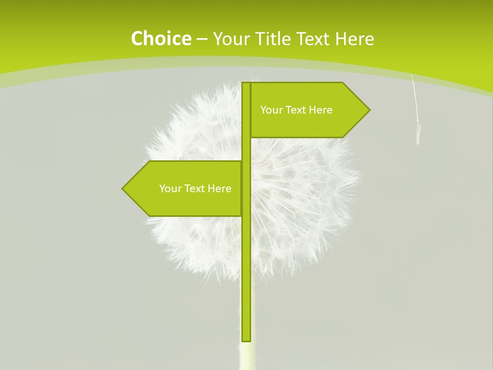 Flug Pusteblume Allergie PowerPoint Template