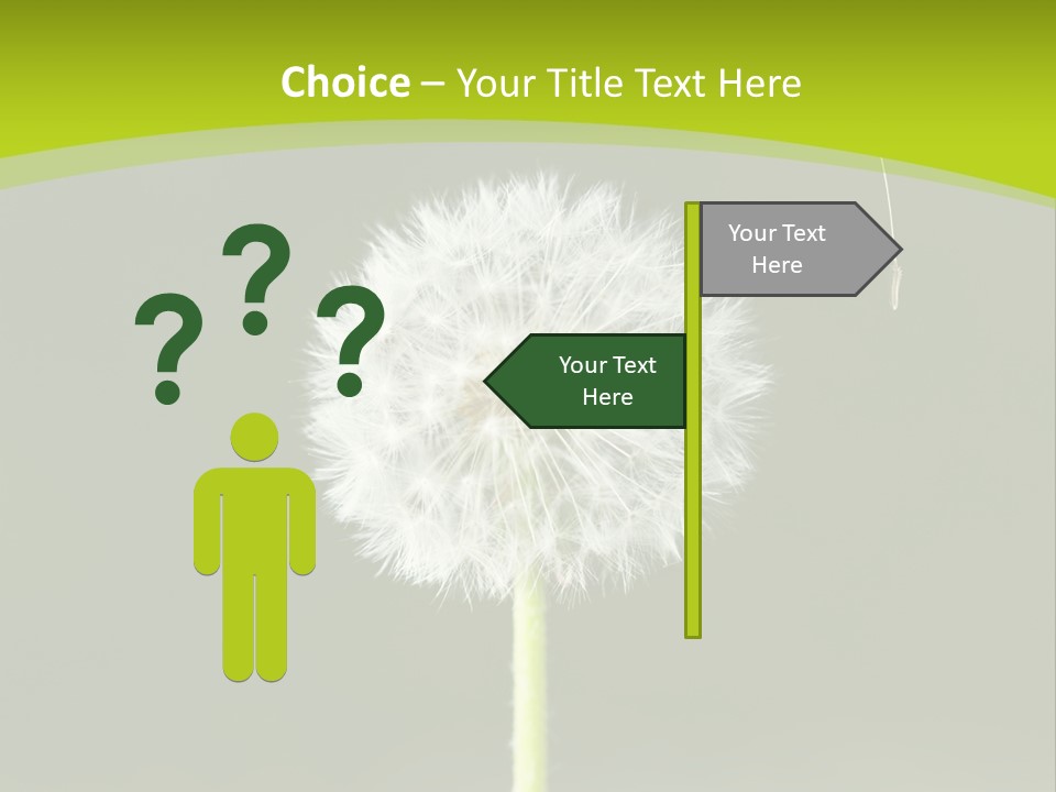 Flug Pusteblume Allergie PowerPoint Template